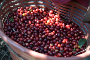 3EDBB4C3-1B71-4DA8-99D8-4473ED34E296