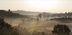 59520689-8473-405C-86B9-45EEBBA69DDA