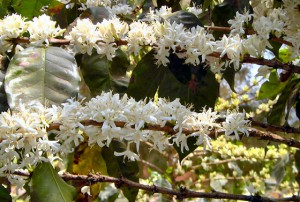 62180727-5A4C-455E-9584-DAAA680345F8