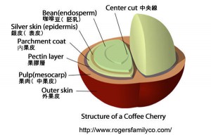 B94B8329-A7B7-47EC-8DCD-CECC7B05B69E