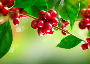 D7837B9E-773D-4DE6-AEC9-F22502D85077