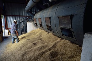 154A6C2D-CCB9-4D60-9498-30B396FF0483