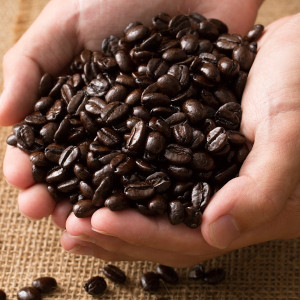 BC7D9141-639B-475E-945D-B4C6708DD982