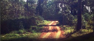 CD7A5CB2-B18D-4037-9335-48F20A8B7C43