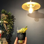 「大変です！ケーキの在庫がありません！」「なら、ブリオッシュを食べればイイのに」マリー・アントワネットも愛したブリオッシュ！！