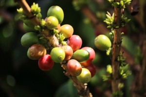 F06B7405-303E-44B9-9F1E-6FB3E45B0752