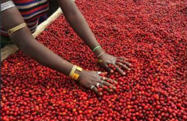 F07CE404-8AF0-44C1-9A07-94C116704797