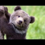 ✨💡酸味。鮮度。固定概念とサヨナラしましょう✨💡