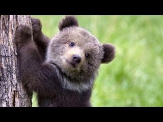 ✨💡酸味。鮮度。固定概念とサヨナラしましょう✨💡