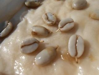 00378E52-363C-45EC-B48D-0D1315622ED3