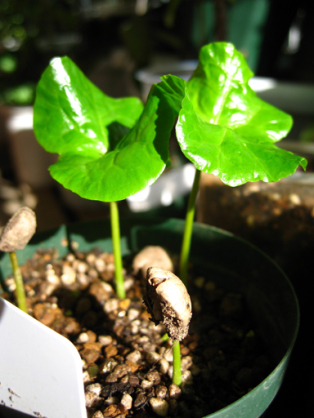 30372C24-AD18-4B8B-9D18-A115D32632D1