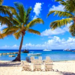 コーヒーはどこからやってくる？【ドミニカ】カリブ海の楽園から届いた「ワイニープリンセサ」！！