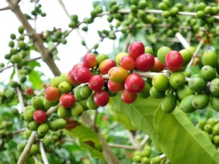 A7987AE5-C853-4565-9537-7B98713E5A46