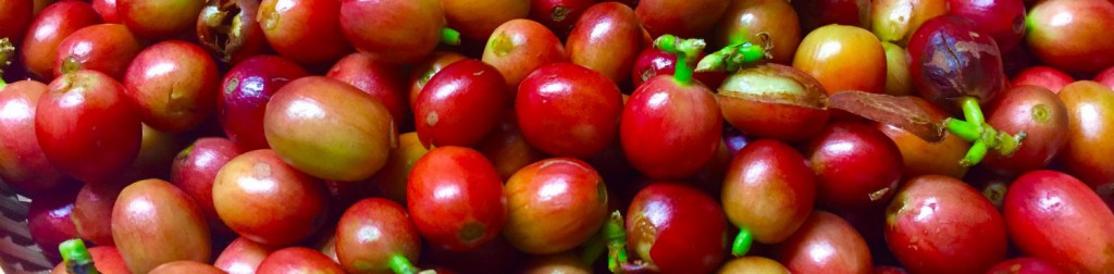 C12610E2-F5D9-4EEF-994A-5B1D0289FBF3