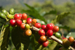 D50C479A-BE35-48F0-A927-3DB36C4DDD51