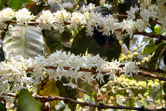 DFCDF87A-D8BF-4847-B2DB-934B667A4326