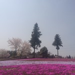 秩父の旅【隠れ家カフェ】クマロマの珈琲を持ち運んで幸せも運んじゃいましょう❤