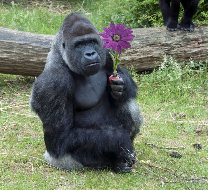 F14D854B-78BE-43BE-AF7E-F658C47A6EC0