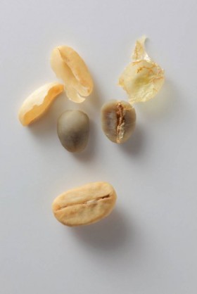 21A91C70-DDE5-484A-870F-E7680A483BA3