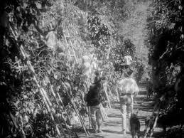 32BE8DDF-F1AD-4002-B487-F2C2E9B7CF14