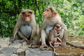 46AF54FB-14DA-4F26-AD8C-BA57D6882674