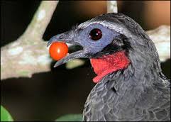 FA95A22A-967E-40B5-BEC6-2C82A95E2EE6