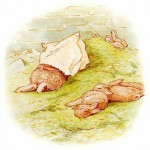 コーヒーを飲んでも、夜はぐっすり【いい夢を見たい🍀✨】　夢見が悪い日が続いたとき食べている○○( ´･ω⊂ヽ゛💤