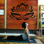 豆を【1800円以上ご購入】で、『ヨガのチケット』がもらえます✨✨ヨガを始めましょう❤スタジオでお待ちしています🐤🍀