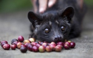 E2C2FBE6-CF3F-40D4-9552-A5D6853F7556