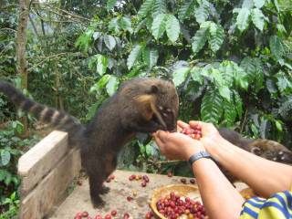 F5259CEA-AB0E-4377-904E-3B0C63B23DA5