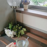 『雨の日カフェが好き』な方々は今頃どうしてるかな🍀と❰おもひでぽろぽろ❱的な気持ちに浸る雨☔☕コーヒーエフェクト💅❤