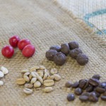 新着マメinfo！懐かしの大人気銘柄からお店イチオシの新入荷をまとめてご紹介！！