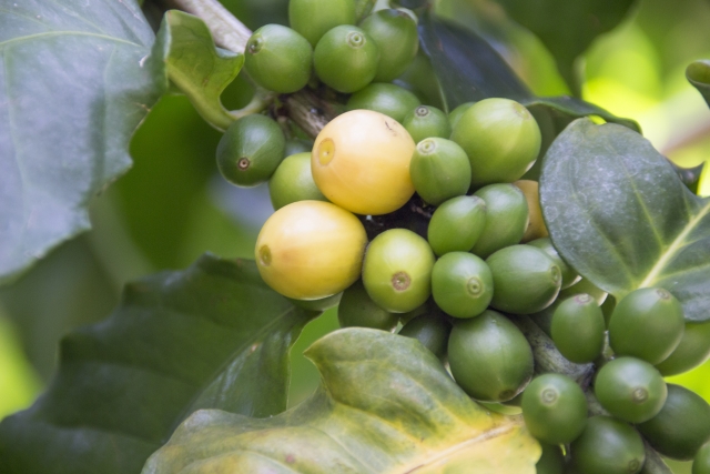 a7ffb7c4a17357da67d13a470c6299af_s