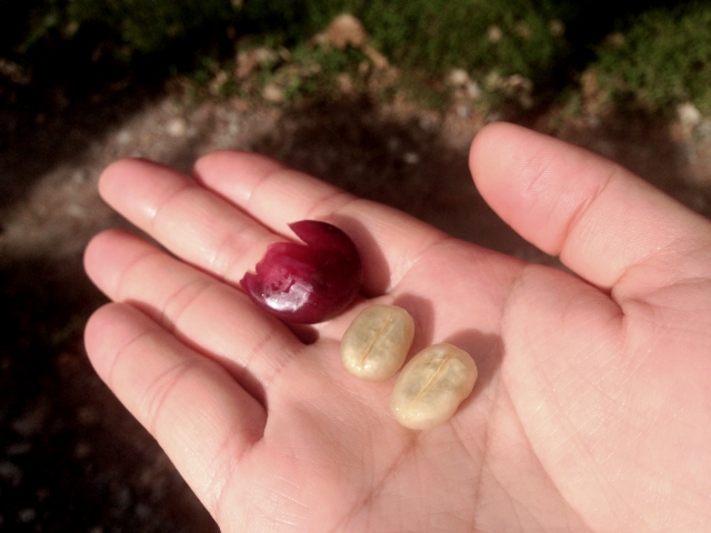 a9fc4848412f995aae23d916264c2e92_s