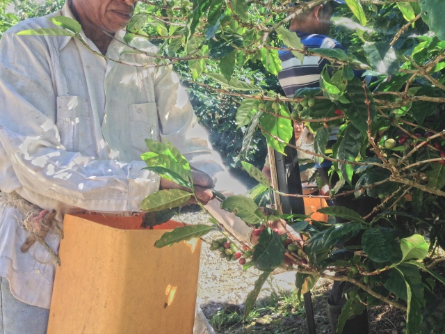 e3ec7fec24d086868f3871abafa992e4_s