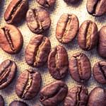 新商品のコーヒー豆は４９９円❣️本日から😋✨