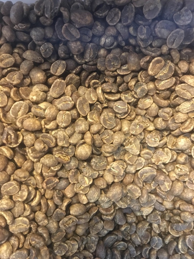 3BD66461-476B-4BE5-A709-1B564A79F796