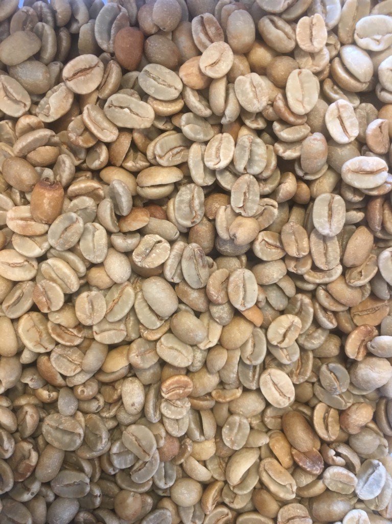 A1648E6B-C725-41BA-A685-9BA18F4CBB30