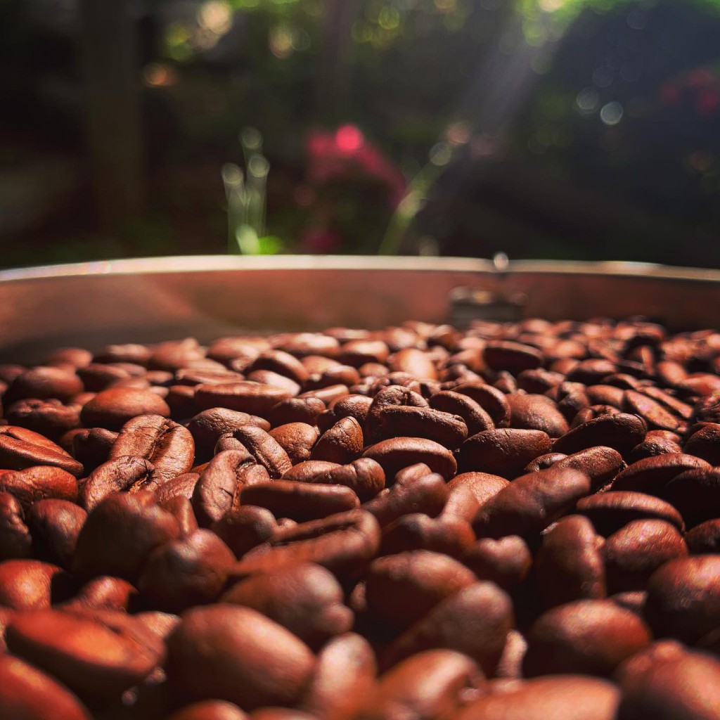 1832CDC1-84DE-433F-9C44-E5934B62A5F5