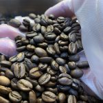 新入荷焼き豆祭りはまだまだ継続中😊ご自宅用にも、プレゼント用にもぜひお買い求めください🎁✨