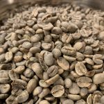 コーヒー豆の選別をしていると