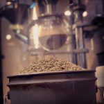 ベールを一枚めくったような質感で