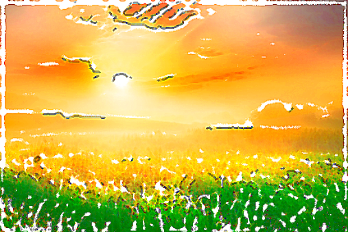 珈琲豆紹介【東ティモール　オーガニック ・コカマウ】　太陽の昇るところ、ロロサエより愛を込めて。