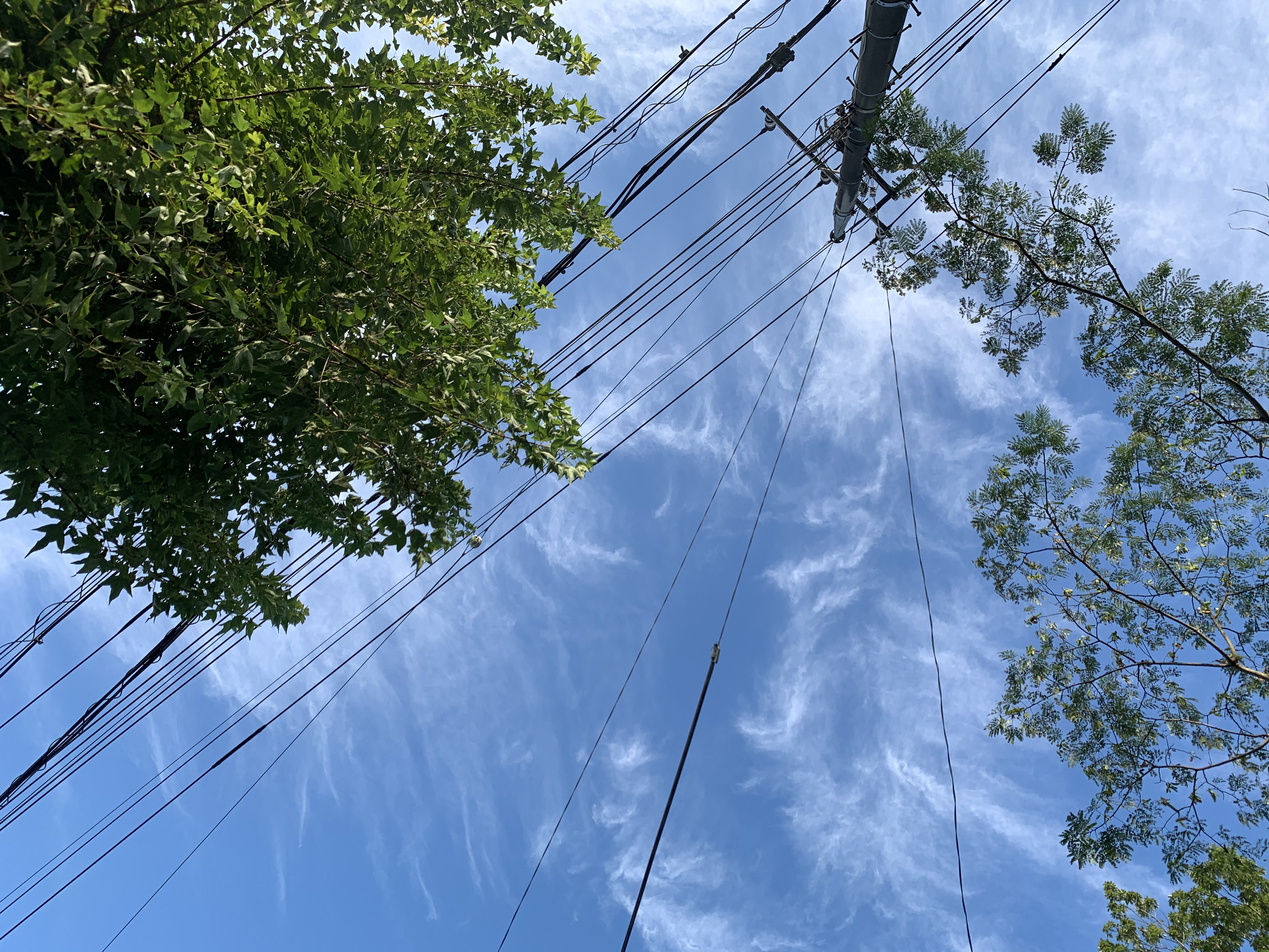 10月の営業について。