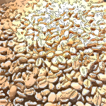 コクと苦味を愛する珈琲愛好家から絶大な人気を誇るコーヒー豆とは！？○〇のにおいがするのに美味しく感じてしまう伝統製法とは！？