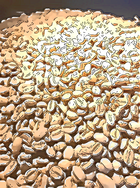 コクと苦味を愛する珈琲愛好家から絶大な人気を誇るコーヒー豆とは！？○〇のにおいがするのに美味しく感じてしまう伝統製法とは！？