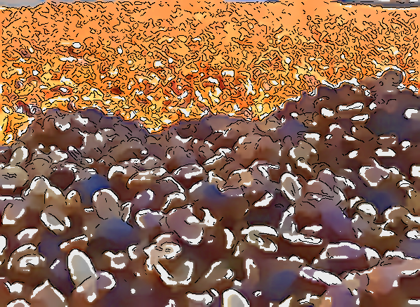 ハニー製法=はちみつ製法？ウエストバレーの名門「レオンシオ農園」がつくり出す【ブラックハニー製法】とは？