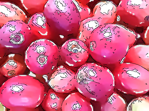 これまでにご紹介した、新入荷のコーヒー豆たちを一挙公開！！お客様のコメントを交えて♪