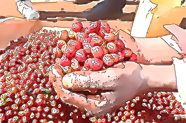 「酸味控えめでジューシー！」なんて珈琲はある…？←入荷いたしました♪