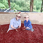 【グァテマラ　エスペランサ　ラ・ベガ】グァテマラ最高峰に君臨し続ける、美味しさの理由とは？